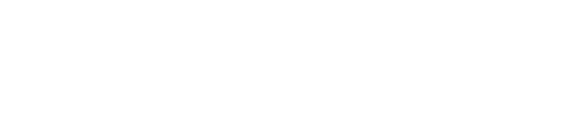 The Leaders Diary